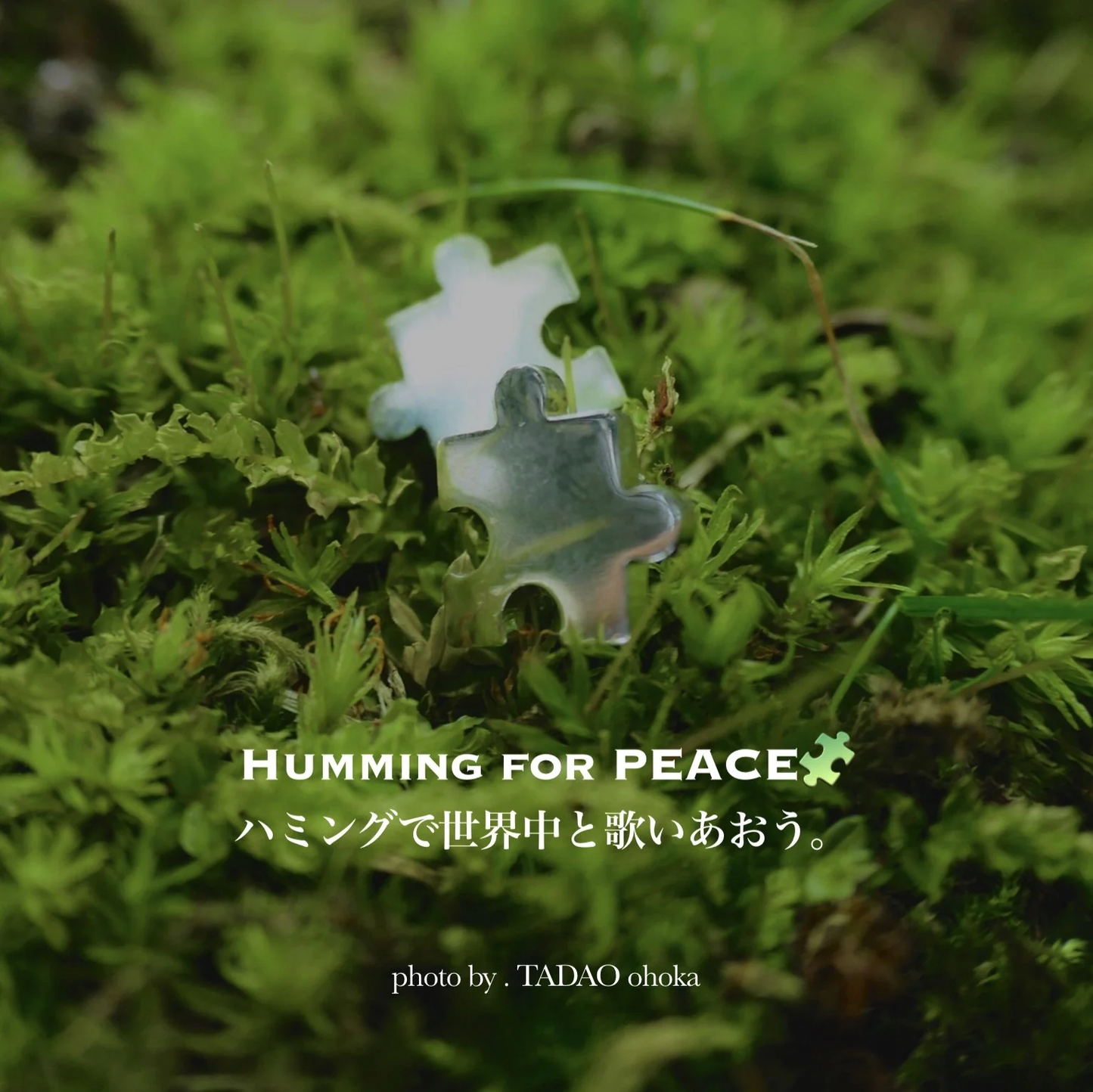 紙・絵本・手のひら小サイズ1冊【あなたは大切な1Piece（ワンピース）】  ( You are an important piece of us )Humming for PEACEオリジナル絵本